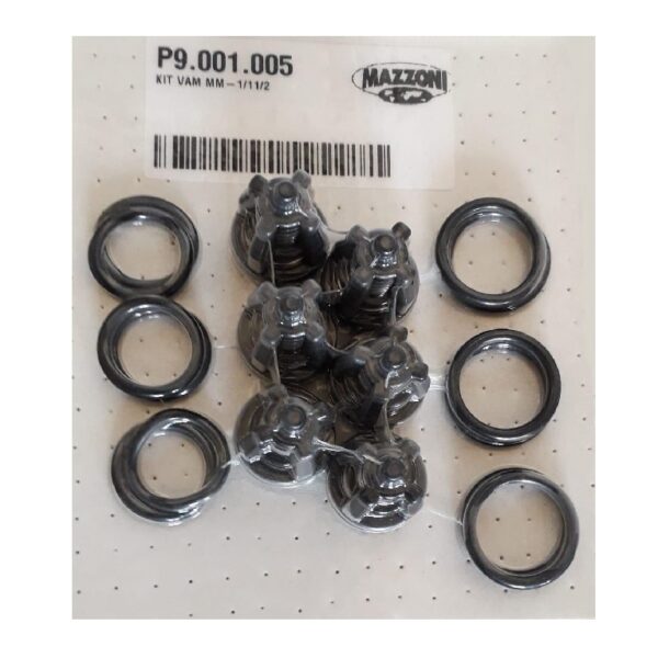 KIT CLAPET POUR POMPE 250 BAR MAZZONI